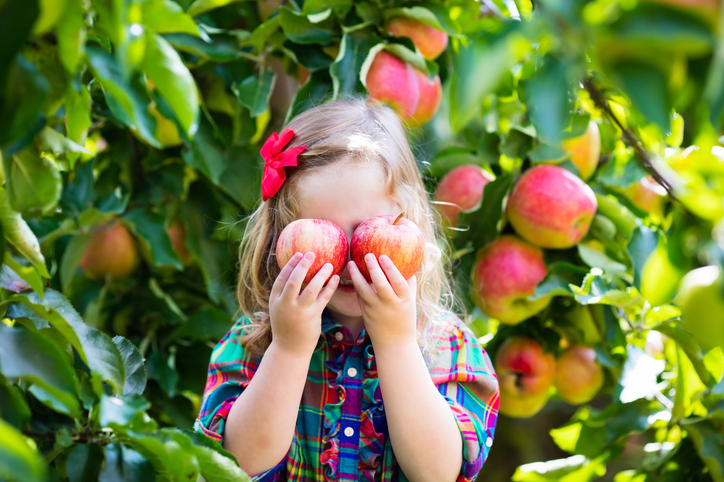 リンゴの木の前で顔を隠している少女の写真